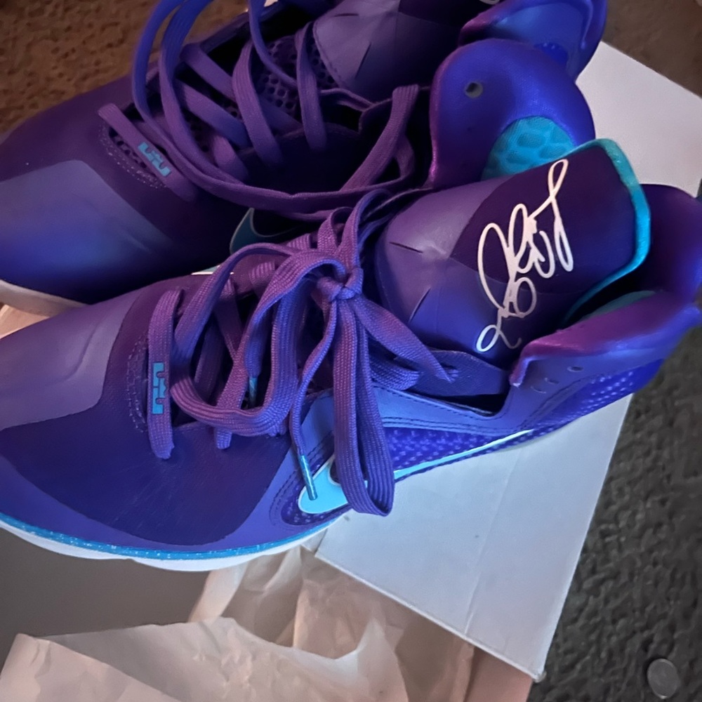 Lebron James sneakers worn 2 times